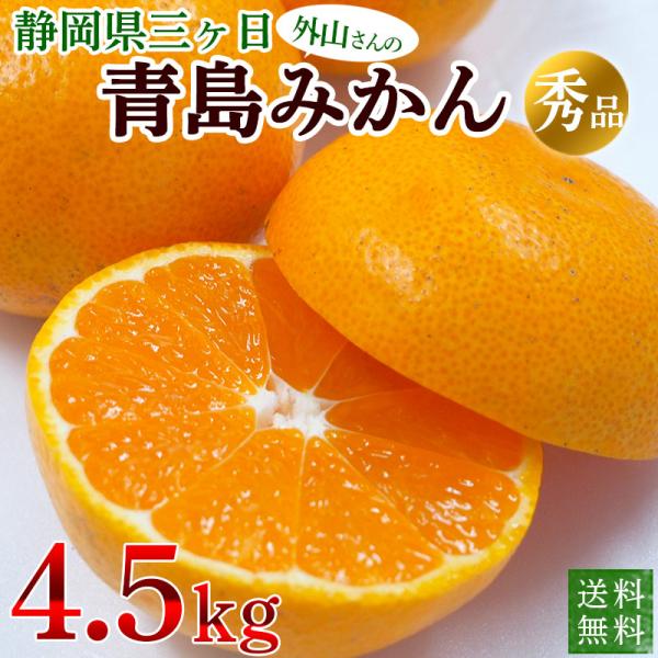 三ケ日・青島みかん　減農薬　無化学肥料（サイズ混合）４．５ｋｇ秀品　送料無料　静岡県産　外山農園