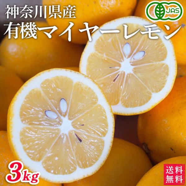 神奈川県産　有機ＪＡＳ認定　マイヤーレモン（レモンライム）３ｋｇ【送料無料】自然園いしわた農場・小田...