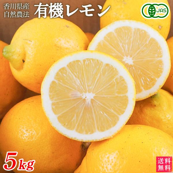 香川県産　有機レモン　５ｋｇ　送料無料　有機JAS　オーガニック　MOA自然農法　国産　檸檬　有機栽...
