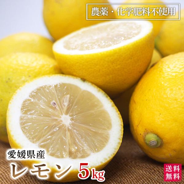 自然農法レモン５ｋｇ・愛媛産・国産・Ａ品　送料無料