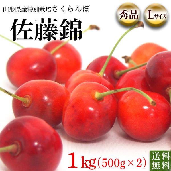 山形県天童市森谷果樹園のさくらんぼ佐藤錦　秀品Ｌサイズ１ｋｇ（５００ｇ×２パック）【送料無料・クール...