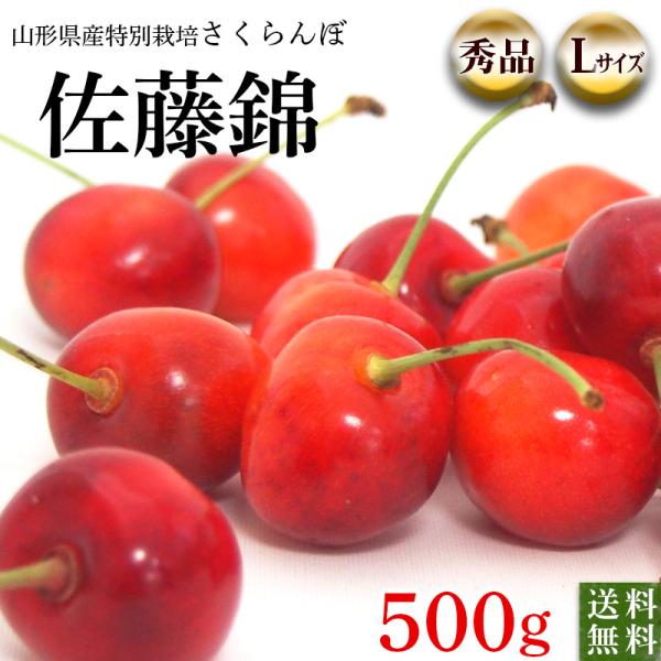 山形県天童市森谷果樹園のさくらんぼ佐藤錦　秀品Ｌサイズ（５００ｇ×１パック）【送料無料・クール冷蔵便...