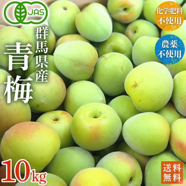 有機青梅【梅干し用】１０ｋｇ・群馬県産　有機ＪＡＳ 有機栽培 オーガニック【送料無料】クール便