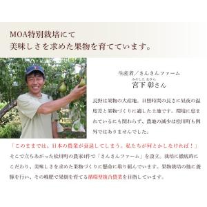 長野県産 さんさんファームの特別栽培 干し柿 ...の詳細画像4