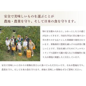 長野県産 さんさんファームの特別栽培 干し柿 ...の詳細画像5