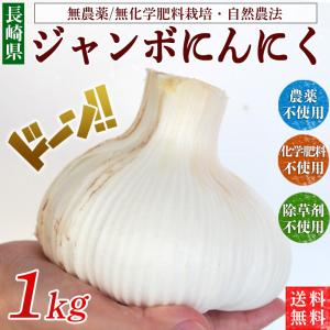 ジャンボにんにく１ｋｇ農薬・化学肥料不使用【長崎県産 ・送料無料・数量限定品】生ニンニク　エレファントガーリック　自然農法｜健康ご予約