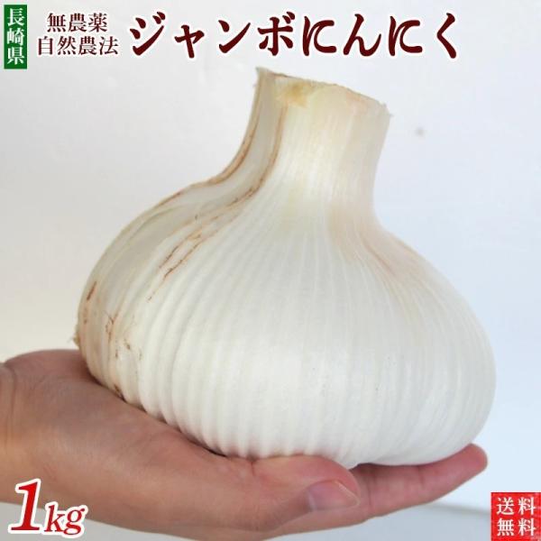 ジャンボにんにく１ｋｇ農薬・化学肥料不使用【長崎県産 ・送料無料・数量限定品】生ニンニク　エレファン...
