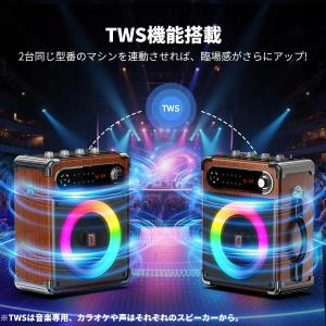 スピーカーセット 拡声器 ワイヤレスマイク2本...の詳細画像2
