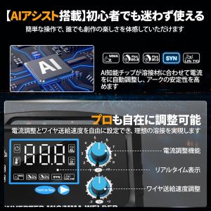 自動溶接機 100V/200V兼用 最大出力1...の詳細画像4