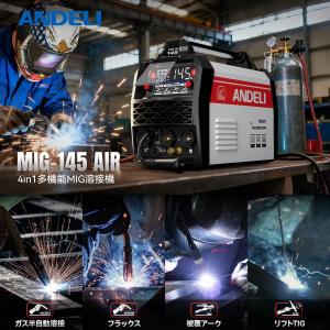 半自動溶接機 145Amp 100V/200V...の詳細画像2