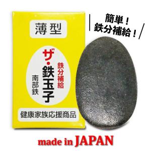 南部鉄器 ザ・鉄玉子 薄型 日本製 簡単に鉄分補給！｜moai-store