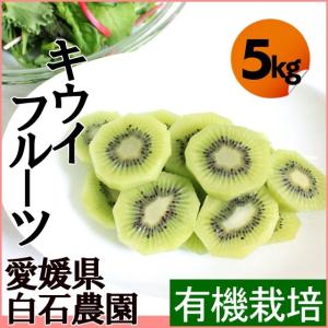 キウイフルーツ！国産、無農薬。　「キウイフルーツ・5ｋｇ 58個程度」