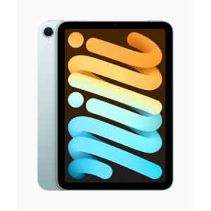iPad 第10世代 10.9インチ 64GB 【新品 未開封】Wi-Fi モデル iPad 第10世代 10.9インチ 64GB 【新品 未開封】Wi-Fi モデル