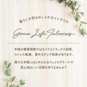 人工観葉植物 フェイクグリーン ミモザ ハンギ...の詳細画像1