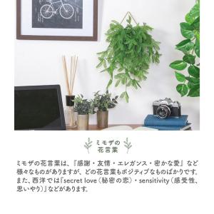 人工観葉植物 フェイクグリーン ミモザ ハンギ...の詳細画像2