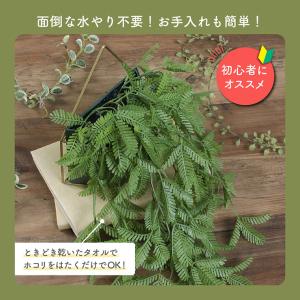 人工観葉植物 フェイクグリーン ミモザ ハンギ...の詳細画像5