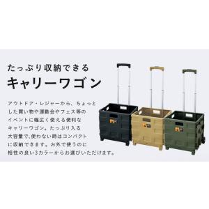 収納ボックス 荷物入れ アウトドア キャンプ ...の詳細画像4