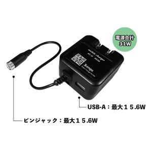 3in1充電セット ピンジャック(HT-27)...の詳細画像2