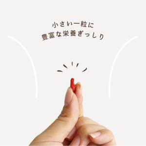クコの実 有機 JAS 無添加 1kg くこの...の詳細画像1