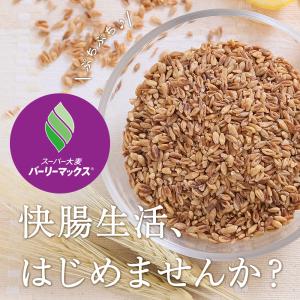 バーリーマックス 850g スーパー大麦 腸内...の詳細画像1