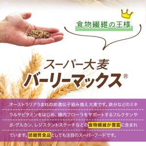 バーリーマックス 850g スーパー大麦 腸内...の詳細画像2