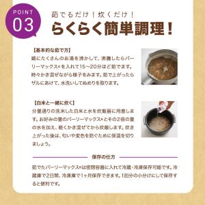バーリーマックス 850g スーパー大麦 腸内...の詳細画像5