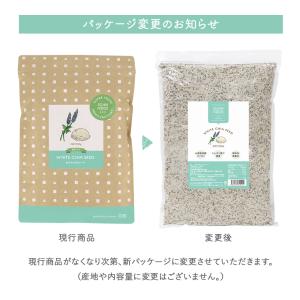 チアシード ホワイトチアシード 900g 無添...の詳細画像1