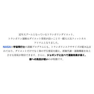 【訳アリ】 フィットネス トランポリン 122...の詳細画像3
