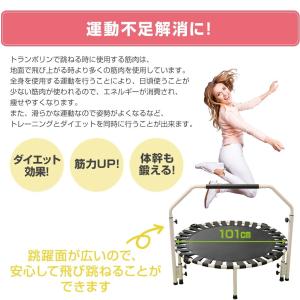 【訳アリ】 リオレス ゴムバンドトランポリン ...の詳細画像2