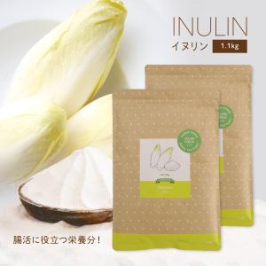 イヌリン 1.1kg (550g×2袋) イヌリア チコリの根 水溶性 食物繊維 粉末 腸内細菌 天然由来 サプリメント 天然 腸活 腸内フローラ 善玉菌 低糖質 菊芋