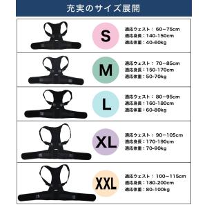 姿勢矯正ベルト 姿勢 矯正 猫背 デスクワーク...の詳細画像5