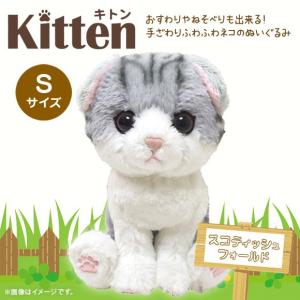 ぬいぐるみ 猫 キトン スコティッシュフォールド ブラウン P-4222