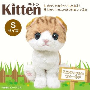 ぬいぐるみ 猫 キトン スコティッシュフォールド グレー P-4212 Kitten