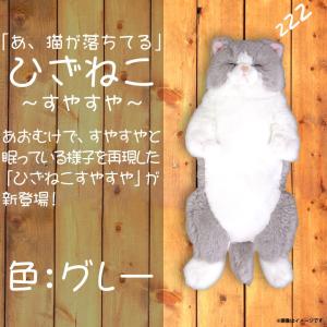パスポーチ ぬいぐるみ キイロイトリ ベーカリー 3368 おもしろパス