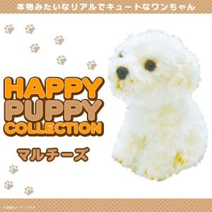 マルチーズぬいぐるみの商品一覧 通販 Yahoo ショッピング