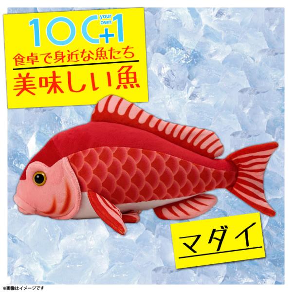 ぬいぐるみ マダイ 真鯛 魚 HA014 0501 100+1 美味しい魚シリーズ 魚屋さん お寿司...