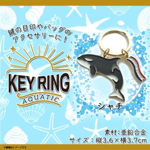 キーリング 鍵 かわいい アニマル アザラシ あざらし Z0202/KH 5631