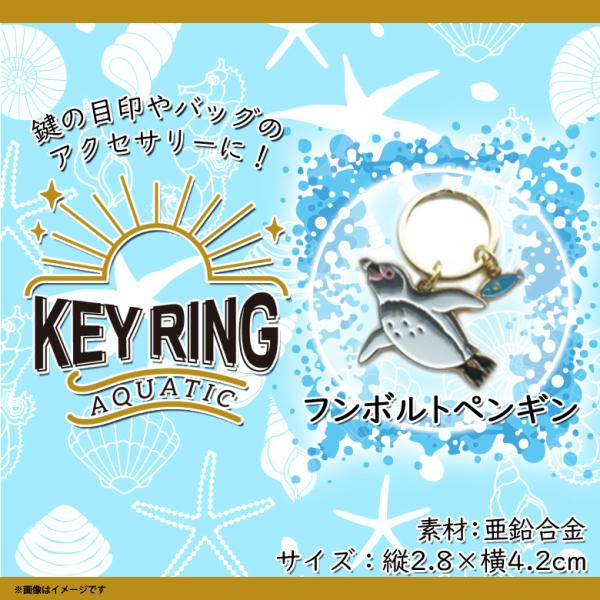 キーリング 鍵 かわいい アニマル  フンボルトペンギン Z0230/KH 6560 アクアチック ...