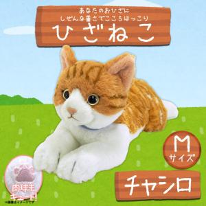 ひざねこ Sサイズ ブラウン 猫のぬいぐるみ 本物みたいな重さ