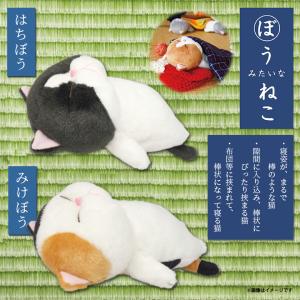 ぬいぐるみ 服 コスチューム 衣装 ハロウィン 黒猫 6291 着ぐるみ