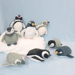 Penguin　ロックホッパー　ペンギン　ぬいぐるみ　袋付き Amazon.co.jp: ジェリーキャット ロニー・ロックホッパー ペンギン