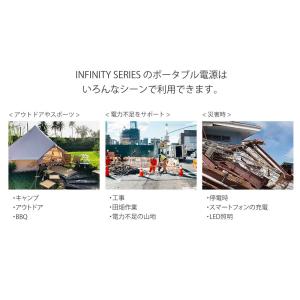 【送料無料】Togo POWER INFINI...の詳細画像4