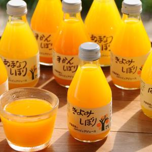 和歌山 伊藤農園 5種の柑橘ジュース10本セット　温州みかん　きよみ　はっさく　あまなつ　不知火｜mobile-meyes