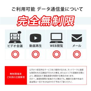 ポケットwifi レンタル 無制限 レンタルw...の詳細画像3
