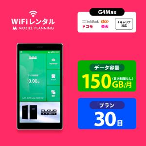 WiFi レンタル 30日 短期 docomo ポケットWiFi 150GB wifiレンタル