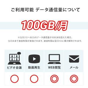 ポケットwifi レンタル 30日 wi-fi...の詳細画像4