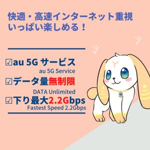最新 5G 高速データAU/UQ WIMAX ...の詳細画像2
