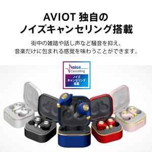 AVIOT TE-D01q2 ワイヤレスイヤホ...の詳細画像2