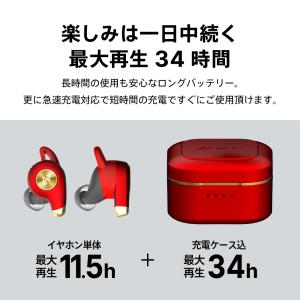 AVIOT TE-D01q2 ワイヤレスイヤホ...の詳細画像3