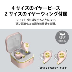 AVIOT TE-D01q2 ワイヤレスイヤホ...の詳細画像4